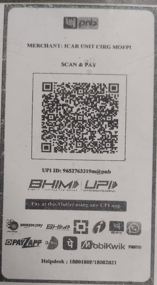 Scan & Pay QR Code